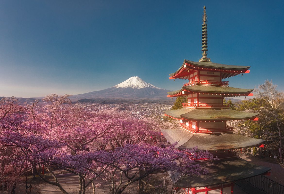 Цветение Сакуры и пагоды в Японии