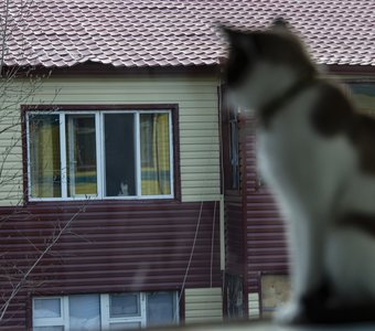 Любовь на расстоянии