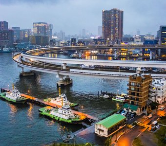 Токио с Радужного моста