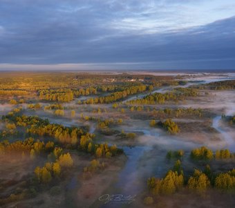 В долине лесной реки