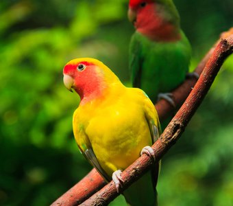 Мы не можем друг без друга