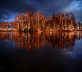 Вельё закатное