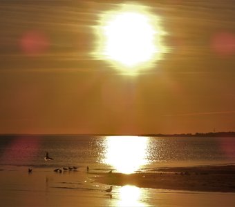 Закат на Финском заливе 13 июня.