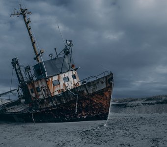 Выброшенный на берег