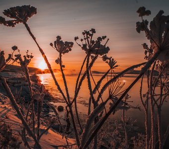 Выжженные силуэты