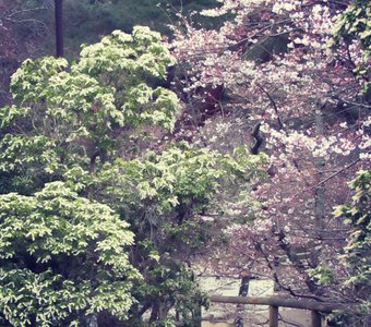 Мистические сумерки