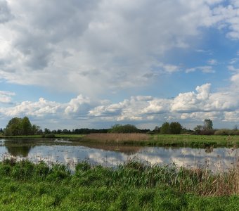 Москворецкий пойменный заказник