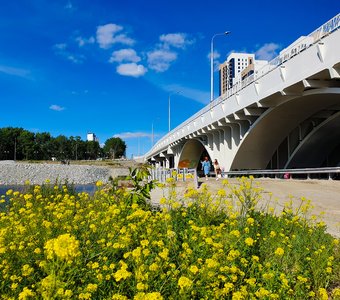 Макаровский мост