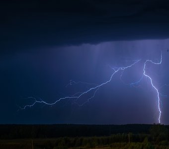 Бич Баал-Хаммона