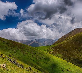 Летнее настроение