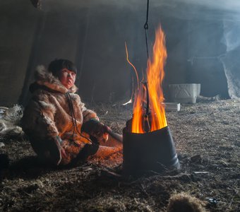 из жизни коренного населения п-ва Ямал