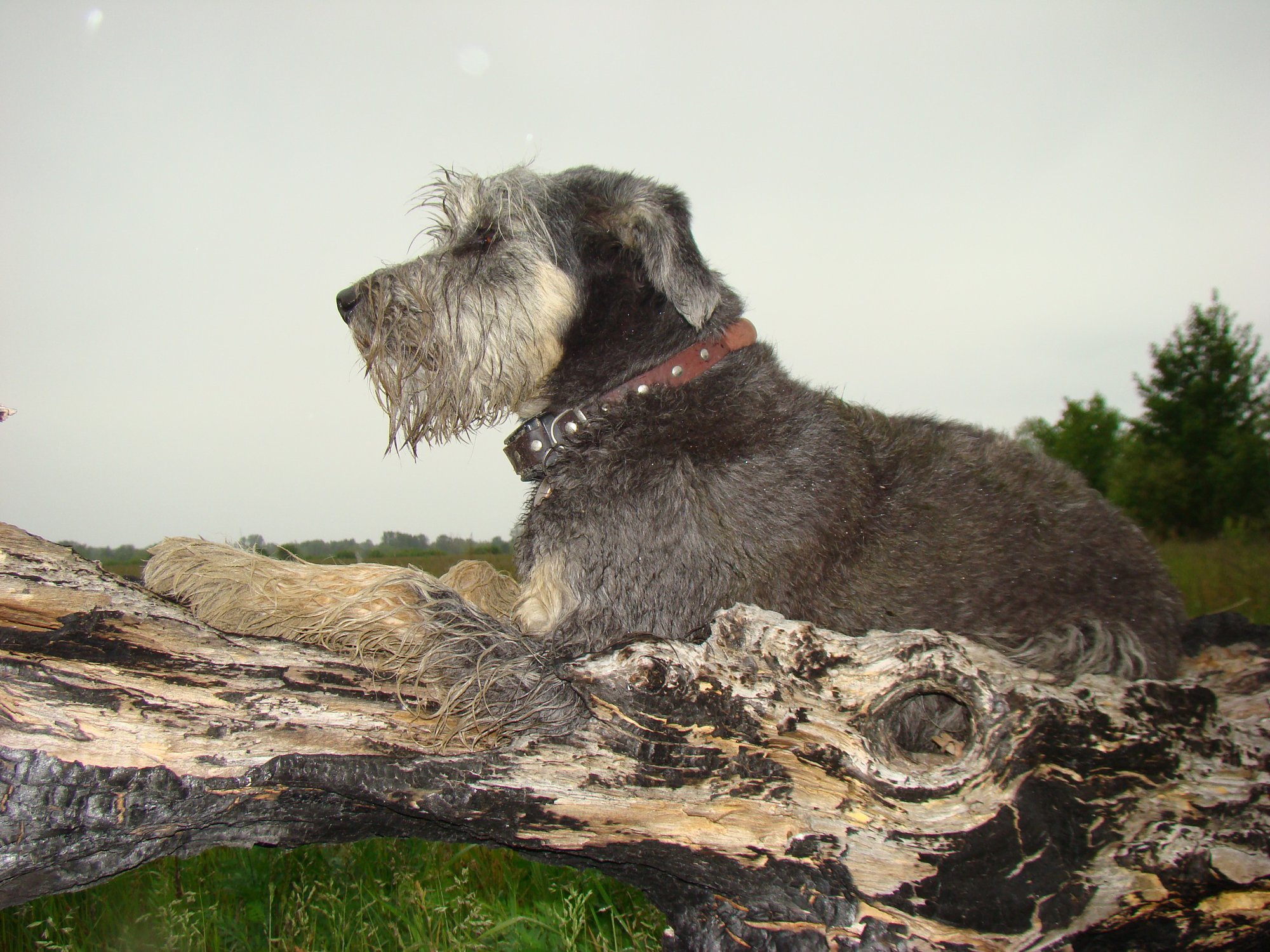 Пост наблюдения