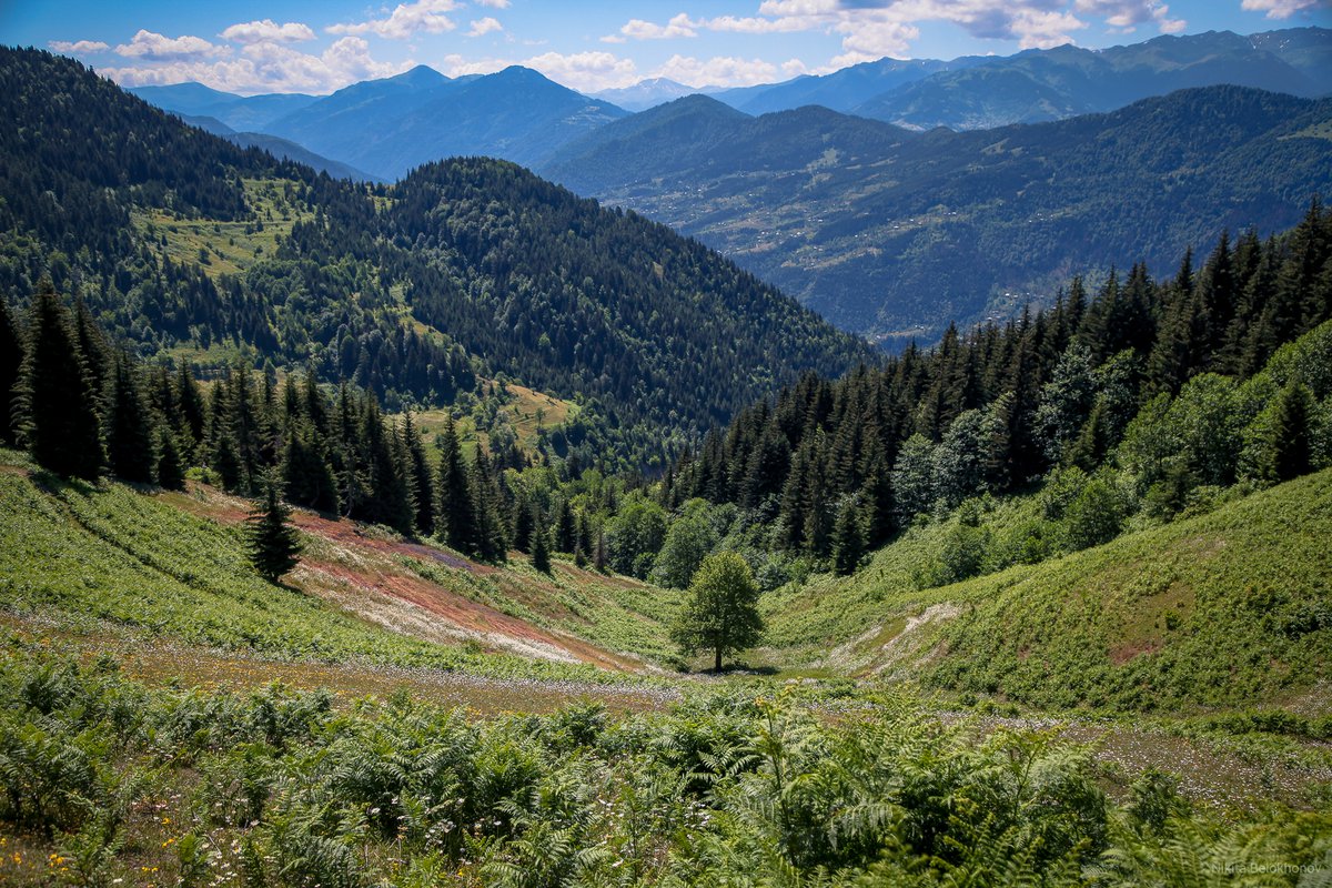 Горная Аджария Грузия