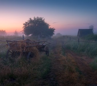 Туманная дорога