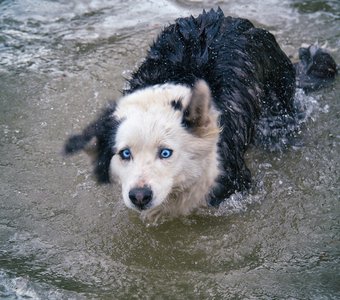 Горные реки бодрят)