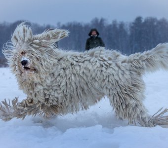 То, чего не может быть