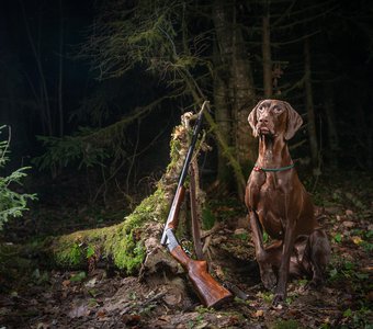 Читая Паустовского.