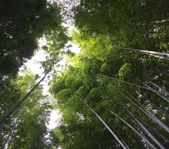 Умиротворение