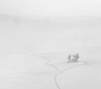 Где дорога, а где мелкая тропа