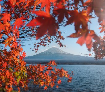 Момидзи — сезон красных листьев в Японии
