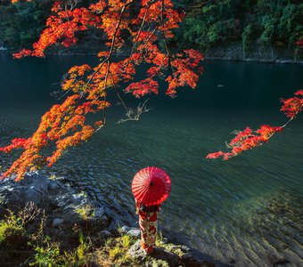 Момидзи — сезон красных листьев в Японии