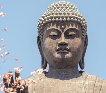 Просветление Будды