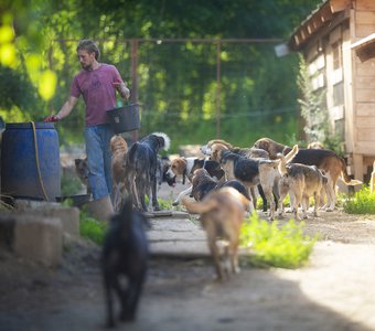 Время обеда!