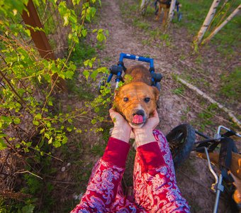 Маменькин сынок