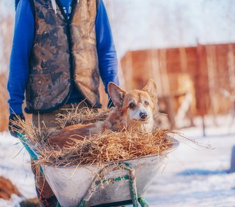 Выезд в свет