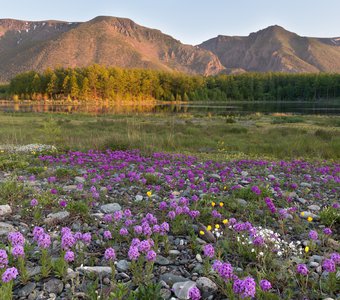 Прибайкалье. Разноцветное утро