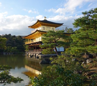 Где скрывается Жар-птица?