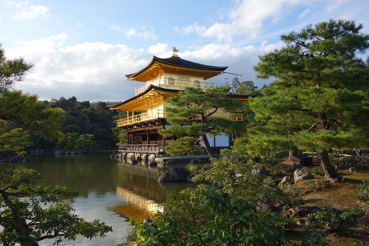 Где скрывается Жар-птица?