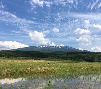В начале лета