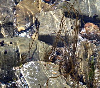 Подводный мир