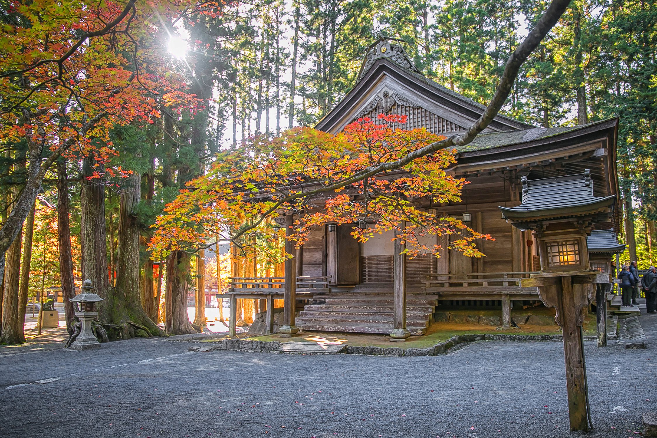 Осеннее утро в храме горы Коя-сан