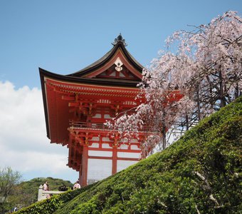 Сезон Хару в Киото