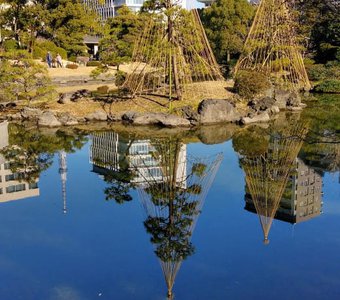 Former Yasuda garden - зелёный оазис в каменных джунглях Токио