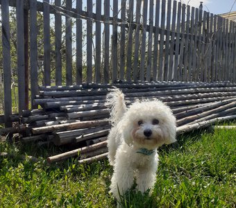 Модель на природе