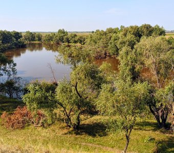 На берегу реки Омь