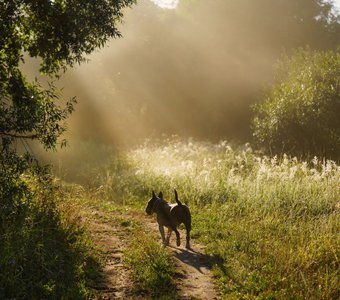 Навстречу новому дню