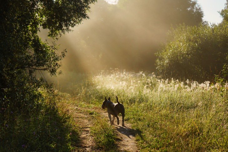 Навстречу новому дню