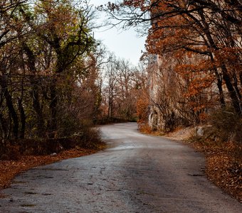 Старая дорога в горах Крыма
