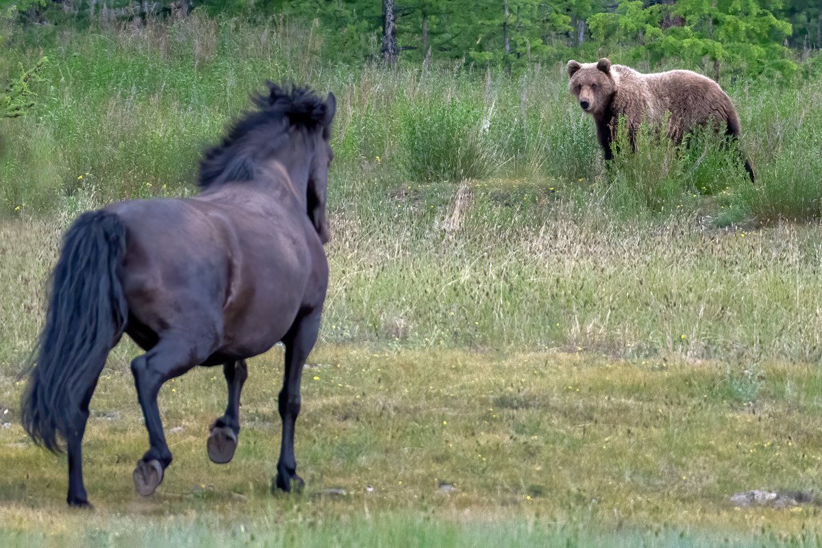 Кто-то сейчас получит...