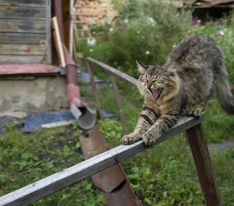 С добрым утром!