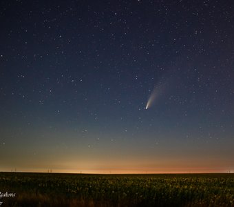 Комета C/2020 F3 (NEOWISE)
