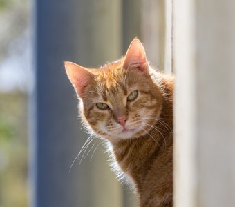 По соседству