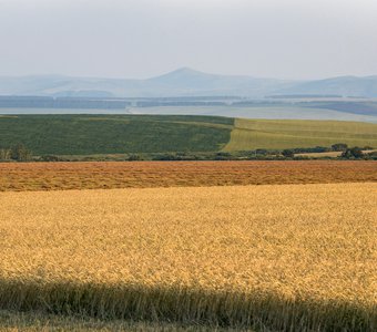 Лето в Алтайском крае