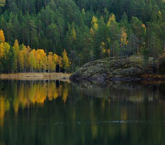 Национальный парк Реповеси, Финляндия