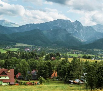 Цвет умиротворения – зеленый