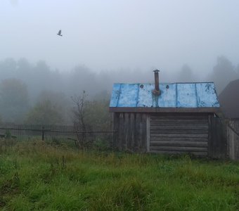 Туманное утро в деревне. Псковская область.
